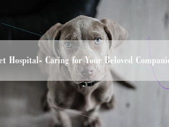  "Blue Oasis Pet Hospital: A Comprehensive Guide to Pet Care and Wellness"