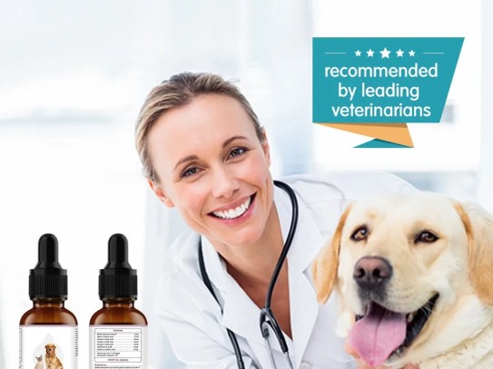 # Discover the Secret to Your Pet's Health with Dr. Marty Pets