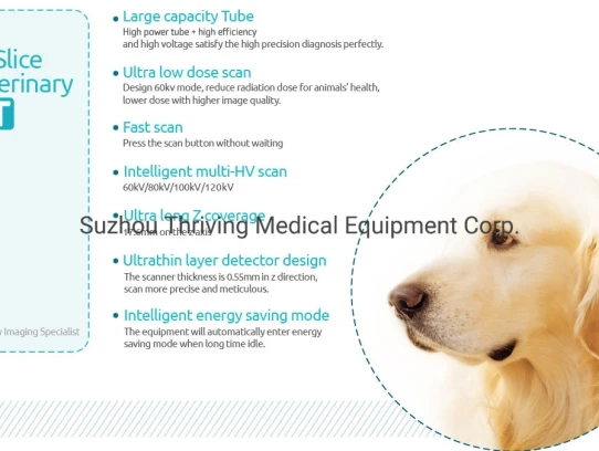  Comprehensive Guide to Valley Veterinary Urgent Care: Your Pet's Health is Our Priority