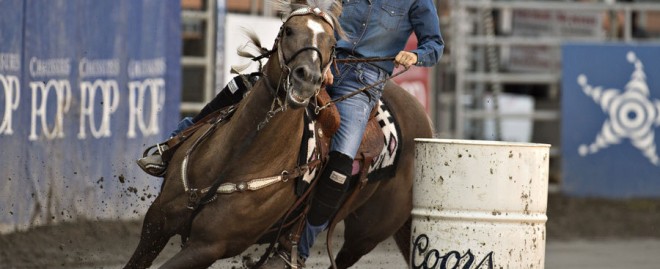  Discover the Allure of Ride Em Cowboy St Pete: Your Ultimate Guide to an Unforgettable Experience