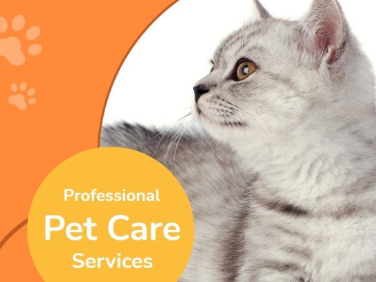  Discovering the Charm of Petite Pets Huntington: A Guide to Small Pet Ownership