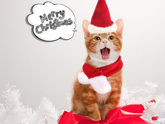  Captivating Christmas Images with Pets: Celebrate the Holiday Spirit with Your Furry Friends