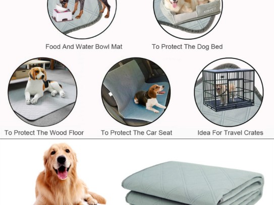  Effective Carpet Cleaners for Pet Urine: Eliminate Stains and Odors with These Top Products