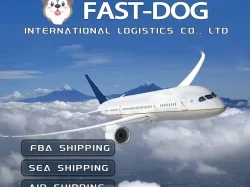  Comprehensive Guide to American Airlines Pet in Cargo: What You Need to Know for Safe Travel