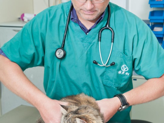 Pet Medical Center - The Ultimate Care for Your Furry Family