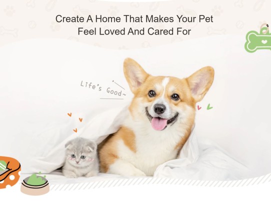  "Top 10 Must-Have Pet Supplies Plus: Elevate Your Pet Care Game"